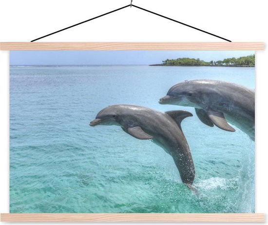 Posterhanger incl. Poster - Schoolplaat - Dolfijnen voor de Baai-eilanden - 90x60 cm - Blanke latten