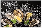 Oesters op ijs - Foto op Akoestisch paneel - 120 x 80 cm