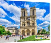 Kathedraal van de Notre-Dame in centrum van Parijs - Foto op Plexiglas - 60 x 40 cm