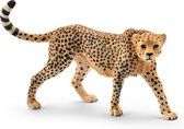 Schleich 14746 Cheetah Vrouwelijk