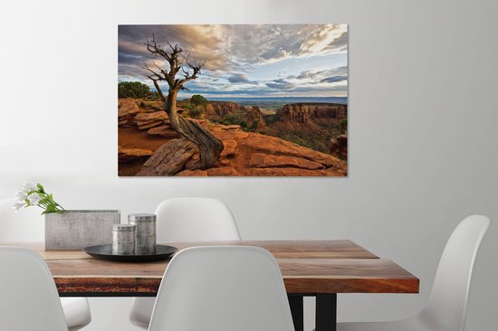Arbre courbe en toile Colorado National Monument 2cm 90x60 cm - Tirage photo sur toile (Décoration murale salon / chambre)