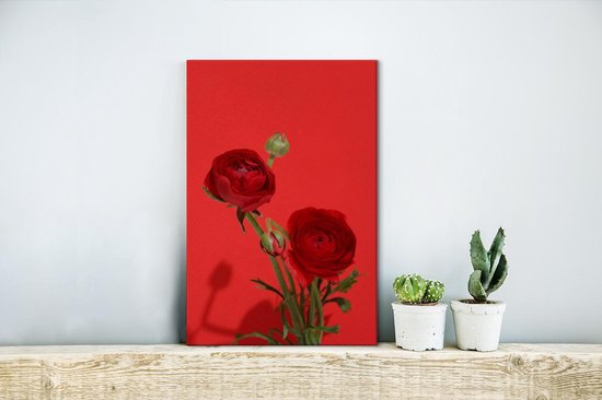 Canvas Schilderij Rode boterbloemen op een rode achtergrond - 20x30 cm - Wanddecoratie