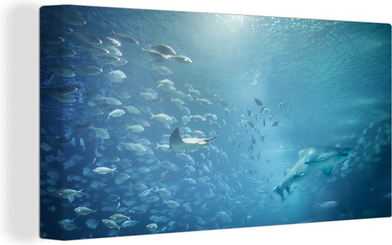 Canvas Schilderij Een groot aquarium met dieren uit de Middellandse zee. - 160x80 cm - Wanddecoratie