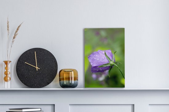 Gouttes de pluie sur la fleur d'une Campanule 20x30 cm - petit - Tirage photo sur toile (Décoration murale salon / chambre) / Peintures Fleurs sur toile