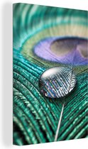 Canvas Schilderij Close-up van een waterdruppel op de veer van een pauw - 40x60 cm - Wanddecoratie