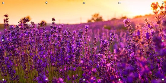 Tuinposter Lavendel 100 x 50 cm incl. Metalen ringen - (Buitenposter - Tuindoek - Buitencanvas - Schilderijen voor buiten - tuin decoratie)