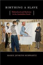 Birthing a Slave - Motherhood and Medicine in the Antebellum South