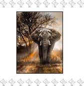 EPIN B.V. | Diamond Painting 5D | Borduurwerk | 20x30 CM | Volledige Vierkante Diamanten Olifant