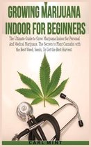 Growing Marijuana Indoor for Beginners
