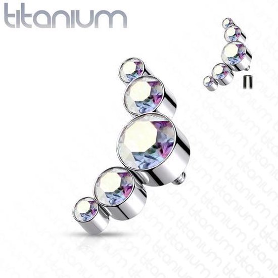 Dermal top titanium 5 rondjes multi kleur 1.2mm