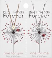 Vriendschap Ketting op Kaart | Sieraden | Bug Friends Forever | Bff one for you / one for me | Liefde / Vriendschap | Trendy Sieraad Kerst / Sinterklaas / Feestdagen Cadeau | Hange