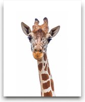 Schilderij  Safari / Jungle Giraf - Kinderkamer - Dieren Schilderij - Babykamer / Kinder Schilderij - Babyshower Cadeau - Muurdecoratie - 50x40cm - FramedCity