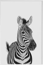 JUNIQE - Poster met kunststof lijst Zebra Classic -20x30 /Wit & Zwart