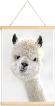 JUNIQE - Posterhanger Alpaca met scheve kop -60x90 /Wit