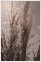 JUNIQE - Poster in kunststof lijst Pampas Reed 06 -20x30 /Bruin