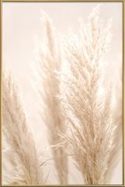 JUNIQE - Poster met kunststof lijst Pampas Reed 8 -30x45 /Ivoor & Wit