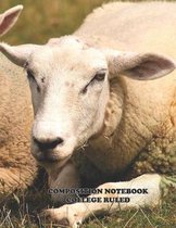 Composition Notebook College Ruled: High School, Sheep , College, Animal, Nature Cover, Cute Composition Notebook, College Notebooks, Girl Boy School