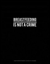 Breastfeeding Is Not a Crime: Graph Paper Notebook - 0.25 Inch (1/4) Squares