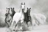 Tuinposter - Dieren - Wildlife / Paard / Paarden in beige / wit / zwart / grijs - 120 x 180 cm.