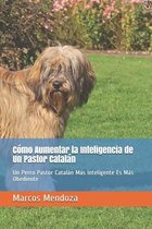 Cómo Aumentar la Inteligencia de Un Pastor Catalán