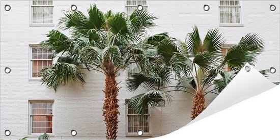 Tuinposter Palmboom 100 x 50 cm incl. Metalen ringen - (Buitenposter - Tuindoek - Buitencanvas - Schilderijen voor buiten - tuin decoratie)