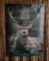 Tuinposter - rendier - landelijk - 60cm hoog