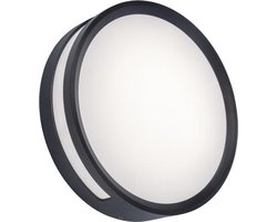 LUTEC Rola - Wand en plafondlamp - Donkergrijs
