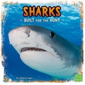 Predator Profiles - Sharks