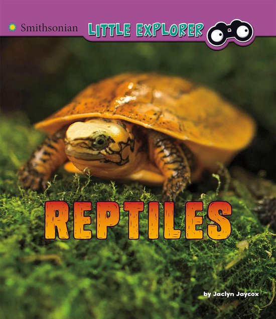 Little Zoologist Reptiles (ebook), Jaclyn Jaycox 9781977117588