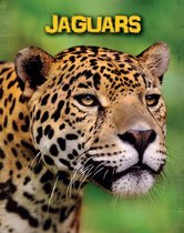Living in the Wild: Big Cats - Jaguars