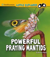 Little Entomologist 4D - Powerful Praying Mantids