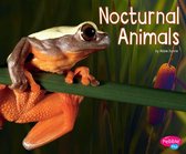 Life Science - Nocturnal Animals