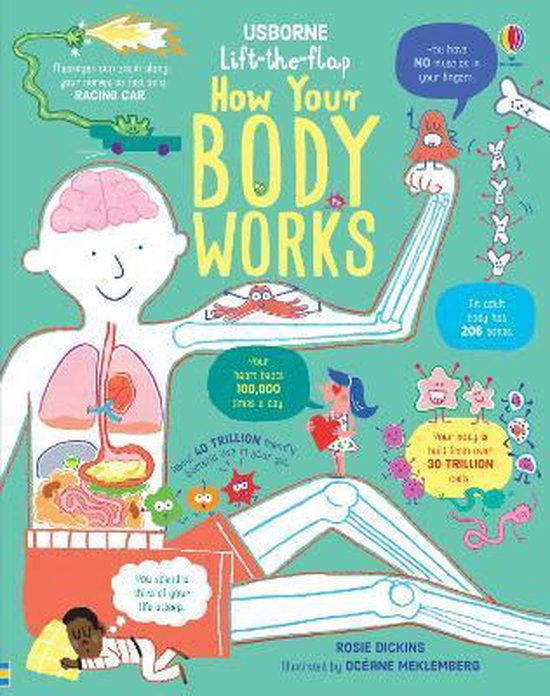LifttheFlap How Your Body Works 1