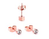 Aramat jewels ® - Oorbellen 4mm rosékleurig zweerknopjes rond chirurgisch staal transparant