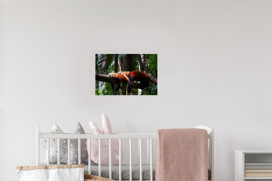 Sticker Muursticker Pandas rouges - Pandas rouges reçus - 30x20 cm - feuille autocollante - sticker mural repositionnable