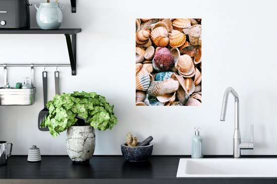 Sticker Muursticker Coquillages - Coquillages de Grèce - 30x40 cm - Film adhésif autocollant - Sticker mural repositionnable
