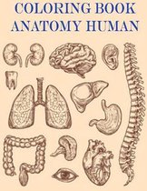 Coloring book anatomy human