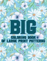 Big Coloring Book Of Large Print Patterns