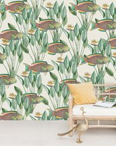 Parrot Fish Behang Mural - Behangpapier Slaapkamer - 300cm x 280cm - Mat Vliesbehang - Creative Lab Amsterdam