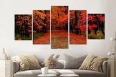 Schilderij -Herfst bos, rood,  5 luik, 200x100cm, Premium print