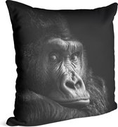 Gorilla op zwarte achtergrond - Foto op Sierkussen - 60 x 60 cm