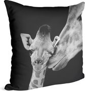 Giraffe koppel op zwarte achtergrond - Foto op Sierkussen - 50 x 50 cm