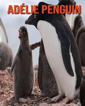 Adelie Penguin