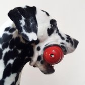 Kongspecial hondenbox - KONG - Speelgoed voor hond - KONG speelgoed - KONG knuffel - KONG bal -Verassingspakket - Cadeau voor hond - VIP Dierenbox