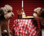 Borrelbox - Hond - Verassing - Pakket - Cadau voor hond - Hondensnacks - Kwispelbier - Borrelen - VIP Dierenbox -
