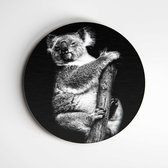 IDecorate - Schilderij - Koala Exclusive Animals - Zwart En Wit - 90 X 90 Cm