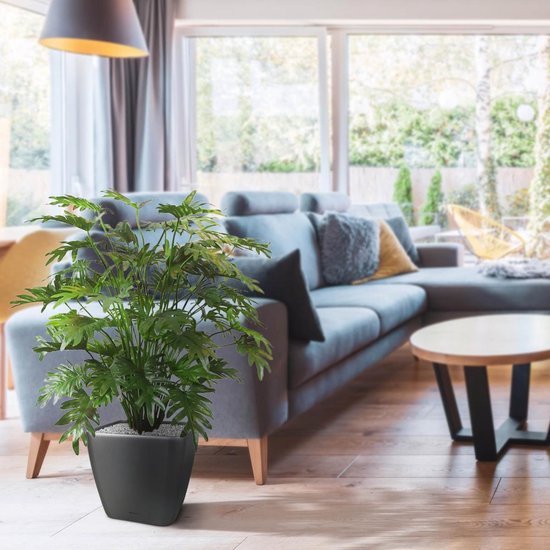 Philo Xanadu deluxe plante artificielle 110 cm