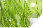 Muurstickers - Sticker Folie - Vroege dauw op grassprietjes - 60x40 cm - Plakfolie - Muurstickers Kinderkamer - Zelfklevend Behang - Zelfklevend behangpapier - Stickerfolie