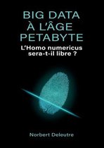 Big data a l'age Petabyte