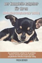 Der komplette Ratgeber für Ihren Chihuahua langhaariger Schlag